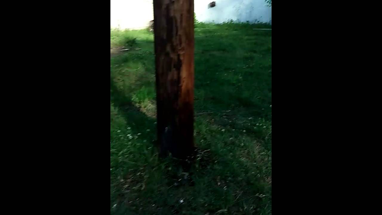 Jeepers Creepers truck YouTube