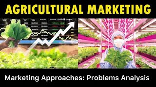 Agricultural Marketing || Approaches || Marketing Problems Study || 2025