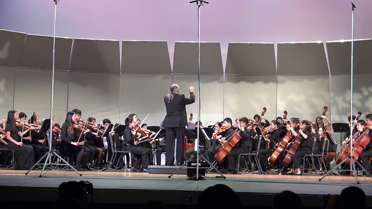 2017 Texas AllRegion Orchestras (Chamber Orchestra), Region 24 (2 of 3