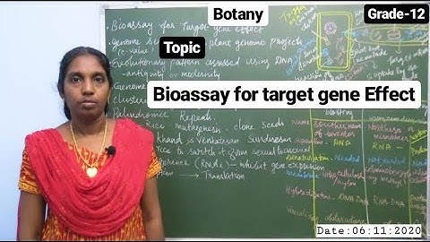 Bioassay for target gene Effect | Grade - 12 | Botany