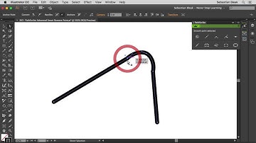 Adobe Illustrator "PathScribe Advanced Smart Remove Point" NSL WK 265