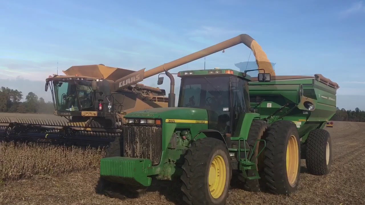 Georgia Harvest 2017 YouTube georgia-harvest-2017-youtube