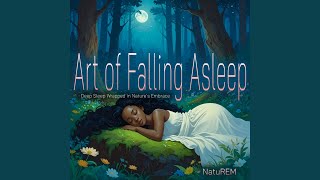 Gentle Nightfall