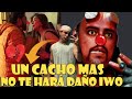 IWO BEJAR CREE QUE ESTA VEZ SI LO HICIERON KCHUDO, EL MADURISMO CAE ANTE EL BEBOTISMO