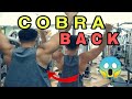 How to Get a Wider Back || Tips how to build a wider back faster