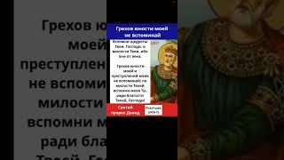 Грехов юности моей не вспоминай. Святой пророк Давид