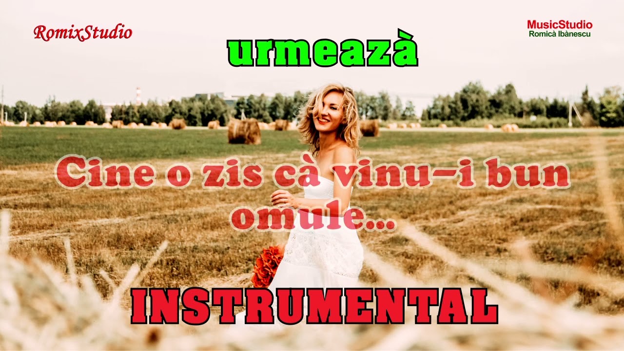 Karaoke▶️ COLAJ ARDEAL✅Versuri - Negativ - Muzica ardeleneasca de ascultare - petrecere - chef▶️2024
