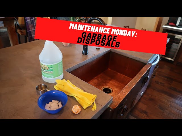 How to Deep Clean Your Garbage Disposal • Everyday Cheapskate