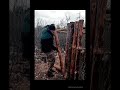 Building  a Cabin in the Wild 🌲