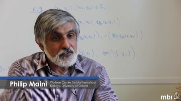 Growth and Morphogenesis - Semester Overview | Philip Maini