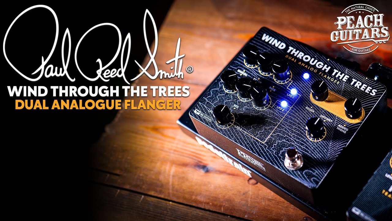 PRS WIND THROUGH THE TREES 動作確認済み PRS Wind Through The Trees ポールリードスミス(Paul Reed