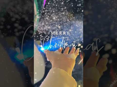 Merry Christmas 2025 MaiCatery MerryChristmas Noel 2025