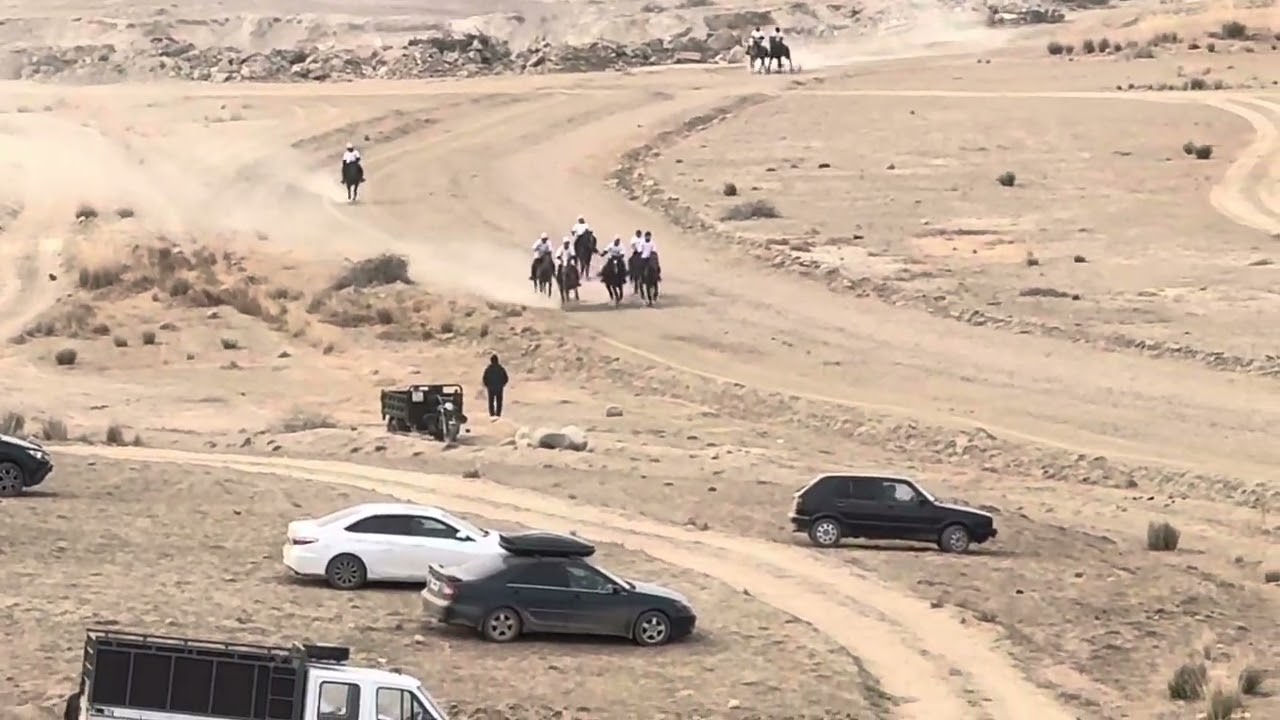 Кыргыз жорголор. Чоң Жорго 16.11.2025