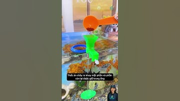 Ống cho cá ăn – Giữ bể sạch, cá khỏe mạnh | Clean Tank, Healthy Fish! #aquarium #aquatic #shorts