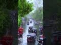 我上早八 MC药材_932