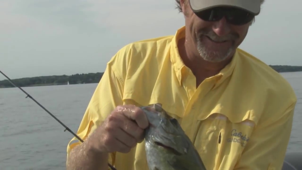Bass Fishing in Madison, Wisconsin YouTube