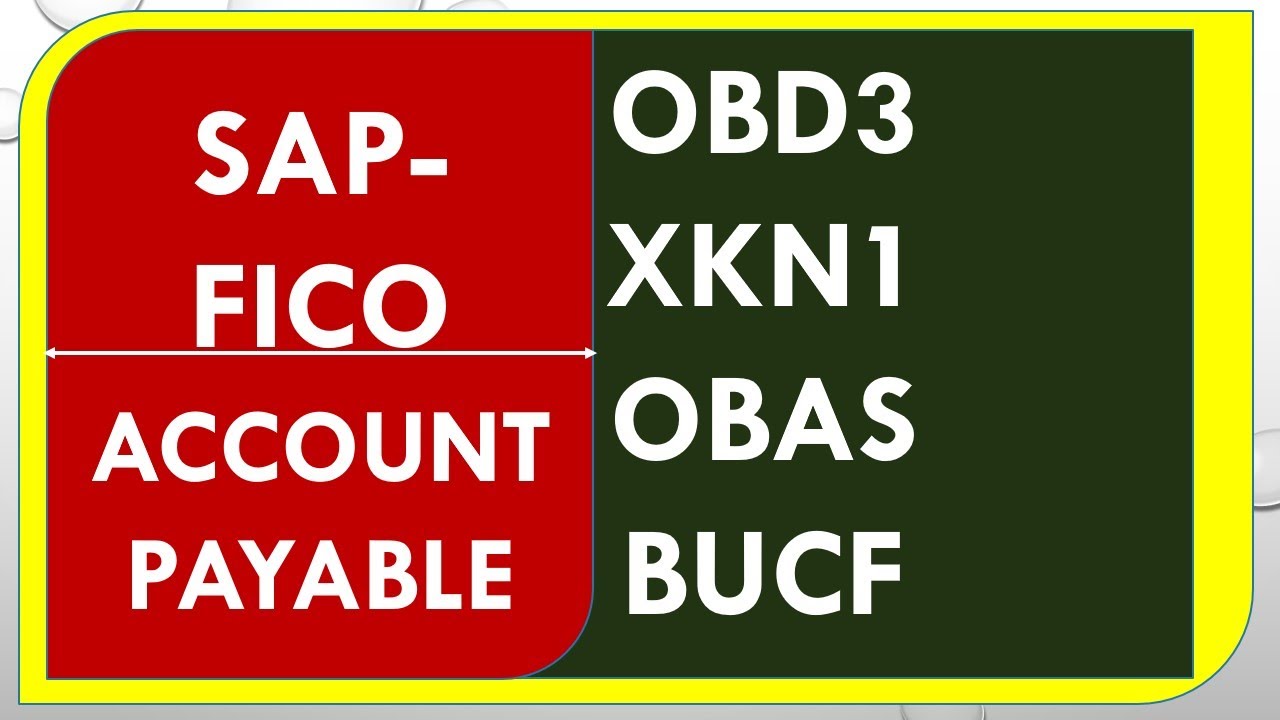SAP FICO S4 HANA ACCOUNTS PAYABLE TRAINING | OBD3 XKN1 OBAS BUCF BP ...