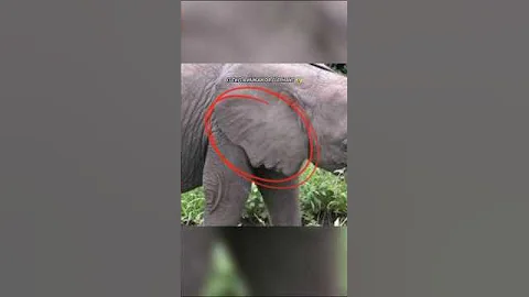 Scariest things hidden in normal photos 😮 #scary #shorts