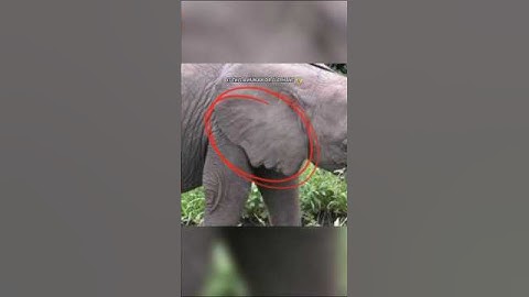 Scariest things hidden in normal photos 😮 #scary #shorts