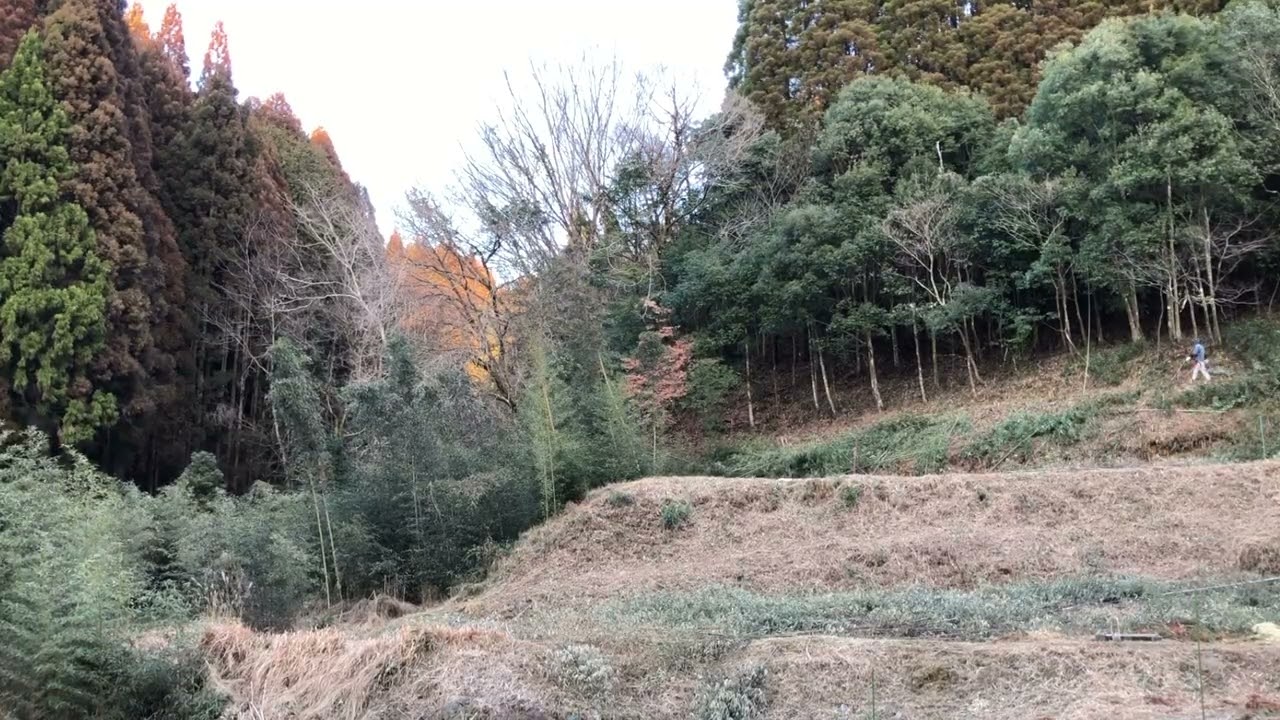 荒廃した山の再生〜2026/02/20−01