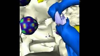 STEREO Endoscopic Anatomy of the Middle Ear