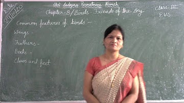 Class-3/ Evs/ Chepter-8/Birds-Friends of the sky