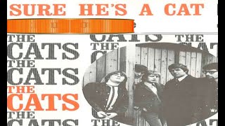 The Cats  Sure Hes A Cat thecats instrumental