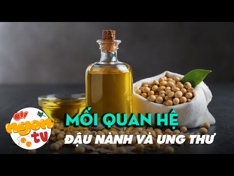 Đậu nành có phải là nguyên nhân gây ung thư?