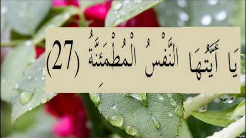 القران الكريم سورة الفجر الاية 27