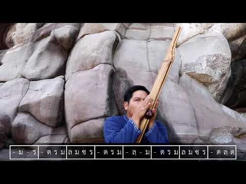 การบรรเลงแคน ลายลำเพลิน By ครูศรชัย ชินราช