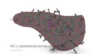 Aggregation Test with wasp - Cindy