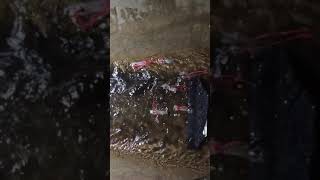 Complex flow from fish baffle