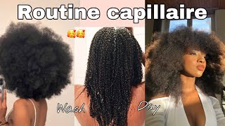 routine capillaire pour débutante été  / cheveux crépus (4c hair)