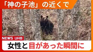 [Brown Bear Alert] Bear sighted near popular tourist spot 'Kami no Ko Pond' - 'Makes eye contact ...