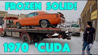 Frozen Cuda!  PLUS 440 Rebuild Work