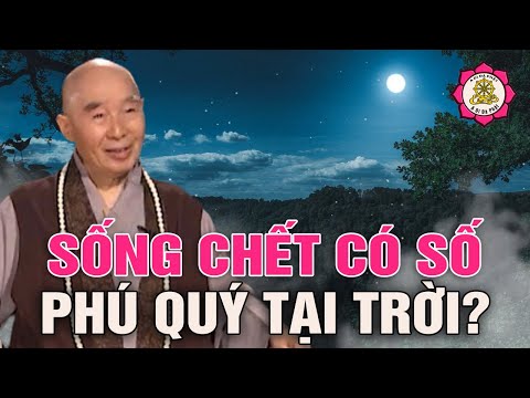 Video Sống Chết Có Số Phú Quý Tại Trời? HT Tịnh Không | A Di... - youtube