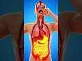 #shortvideo #animation #bodybuilding #body #mukbang #athletes #satisfying #bodybuilders #video