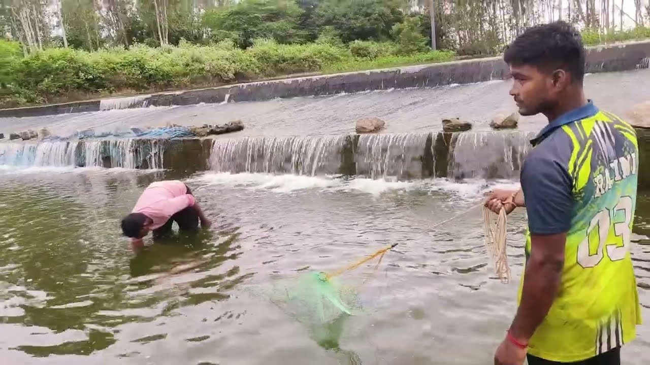 Amazing தண்ணீர் இரங்கும் இடத்தில் இருந்த மீன்கள் village life