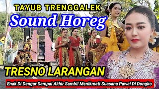 Download Lagu Tresno larangan Bass Horeg Tayub Trenggalek Jawa Timur Indonesia Sambil Menikmati Pawai Di Dongko MP3 Download Lagu Tresno larangan Bass Horeg Tayub Trenggalek Jawa Timur Indonesia Sambil Menikmati Pawai Di Dongko MP3