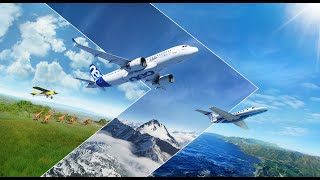 Microsoft Flight Simulator #1436