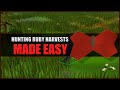 Quick Guide to Hunting Ruby Harvests in OSRS | Hunter Guide