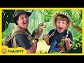 Giant Alligators at Kids Wildlife Park with Toy Hunt for Surprise Crocodile Toys from ToyLabTV