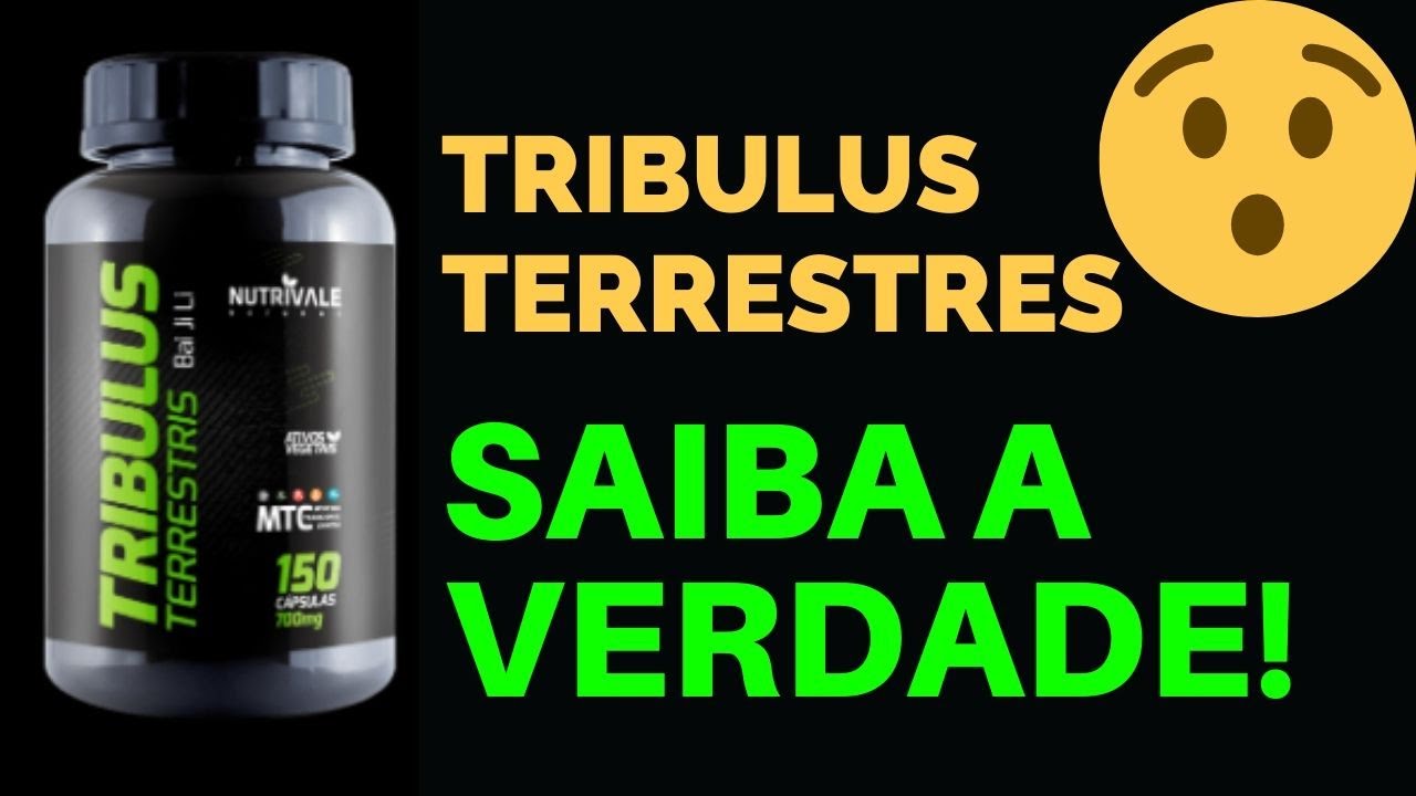 Tribulus Terrestris Bula Tribulus Terrestris Como Tomar e Benefícios YouTube