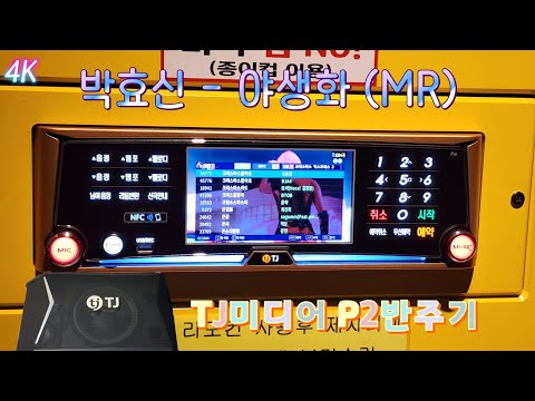 TJ반주곡 P2반주기 박효신 - 야생화 (MR)