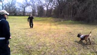 Low Profile Tactical Suit Pursuit Bite