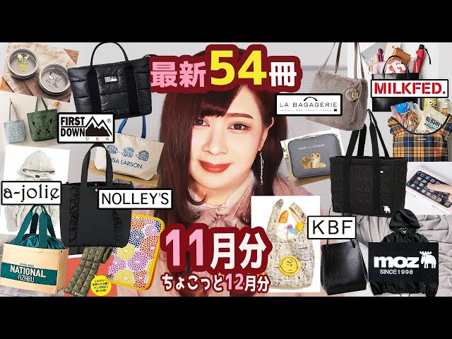 Magazine supplements] November issue of Mook book extra