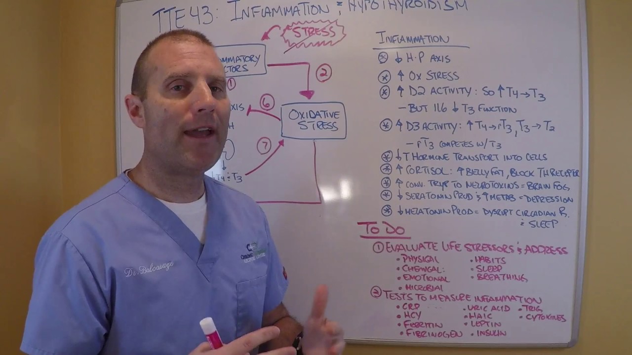 TTE43 Inflammation and Hypothyroidism