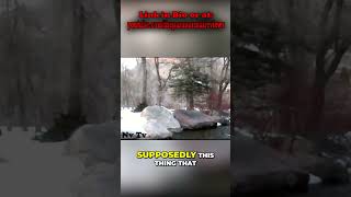 Cryptid Investigation: Creature Caught on Camera! #shorts