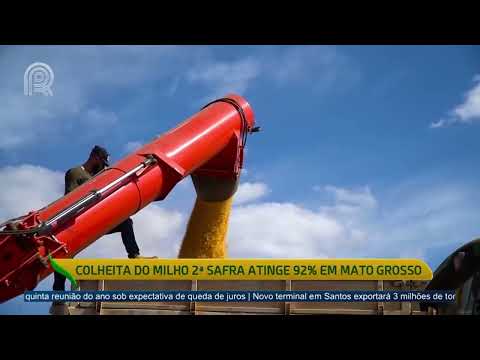 Mais Milho: Colheita do cereal 2º safra atinge 92% em Mato Grosso| Canal Rural