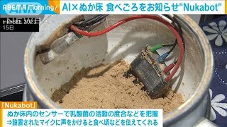 AI×ぬか床 食べごろをお知らせ「Nukabot」(2023年11月16日)